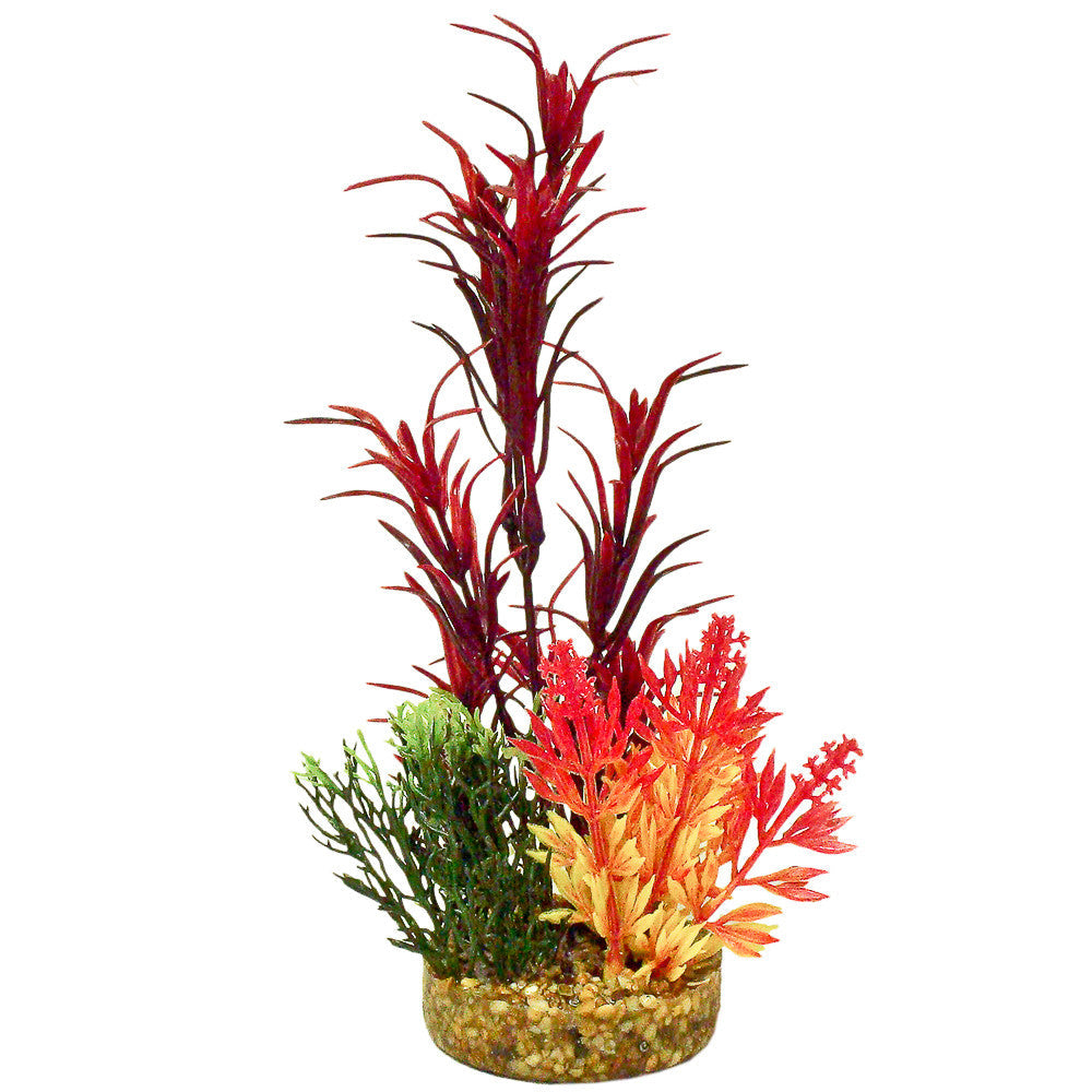 Blue Ribbon ColorBurst Florals Gravel Base Sea Grass Bouquet Plant Red 7.5 in