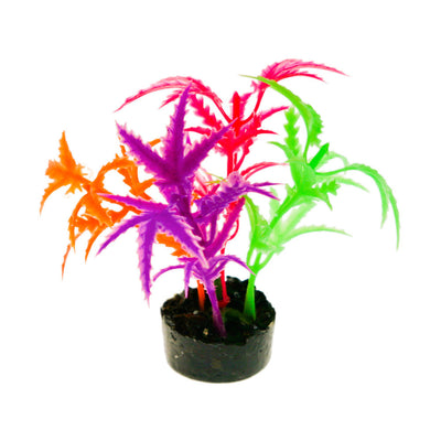 Blue Ribbon ColorBurst Florals Jagged Sword Aquarium Plant Orange, Red, Purple, Green 3.25 in