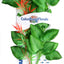 Blue Ribbon Colorburst Florals Marshwood Aquarium Plant Green LG