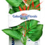 Blue Ribbon Colorburst Florals Marshwood Aquarium Plant Green SM