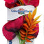 Blue Ribbon Colorburst Florals Melon Leaf Aquarium Plant Red MD