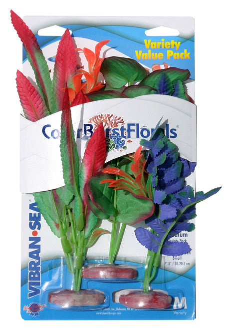 Blue Ribbon Colorburst Florals Variety Pack Plants 2 MD & 1 SM - Aquarium
