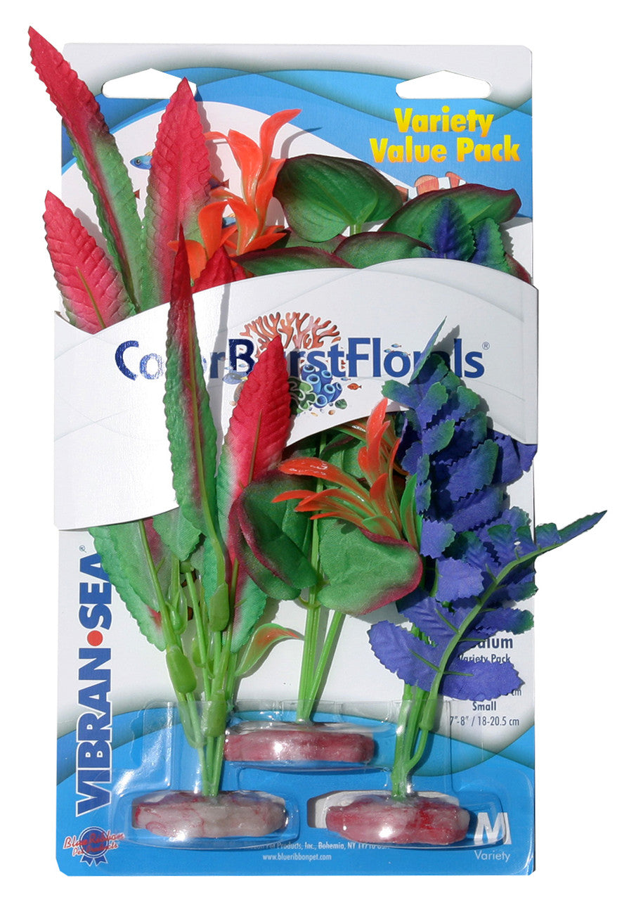 Blue Ribbon Colorburst Florals Variety Pack Plants 2 MD & 1 SM