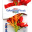 Blue Ribbon Colorburst Florals Willow Leaf Aquarium Plant Red SM