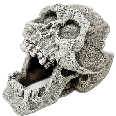 Blue Ribbon Exotic Environments Cracked Human Skull Aquarium Ornament Grey 1.75 in Mini