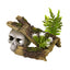 Blue Ribbon Exotic Environments Jungle Skull Hideaway Aquarium Ornament with Plants Multi - Color 3.5