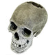 Blue Ribbon Exotic Environments Life - like Human Skull Aquarium Ornament Grey 6