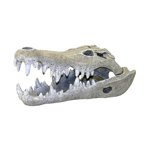 Blue Ribbon Exotic Environments Nile Crocodile Skull Aquarium Ornament Grey 2.5in SM