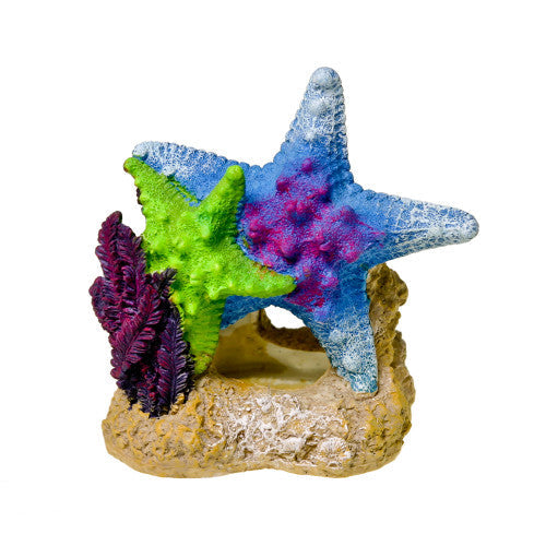 Blue Ribbon Exotic Environments Sea Star Duo Aquarium Ornament with Plant Multi - Color 4.5