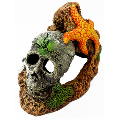 Blue Ribbon Exotic Environments Skull Aquarium Ornament with Starfish Multi-Color 3 in