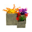 Blue Ribbon Exotic Environments Square Stone Flower Pot Stone Colorful 4 in
