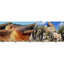 Blue Ribbon Vibran - Sea Double Sided Background Cactus and Desert Stone 19 Inches X 50 Feet - Aquarium