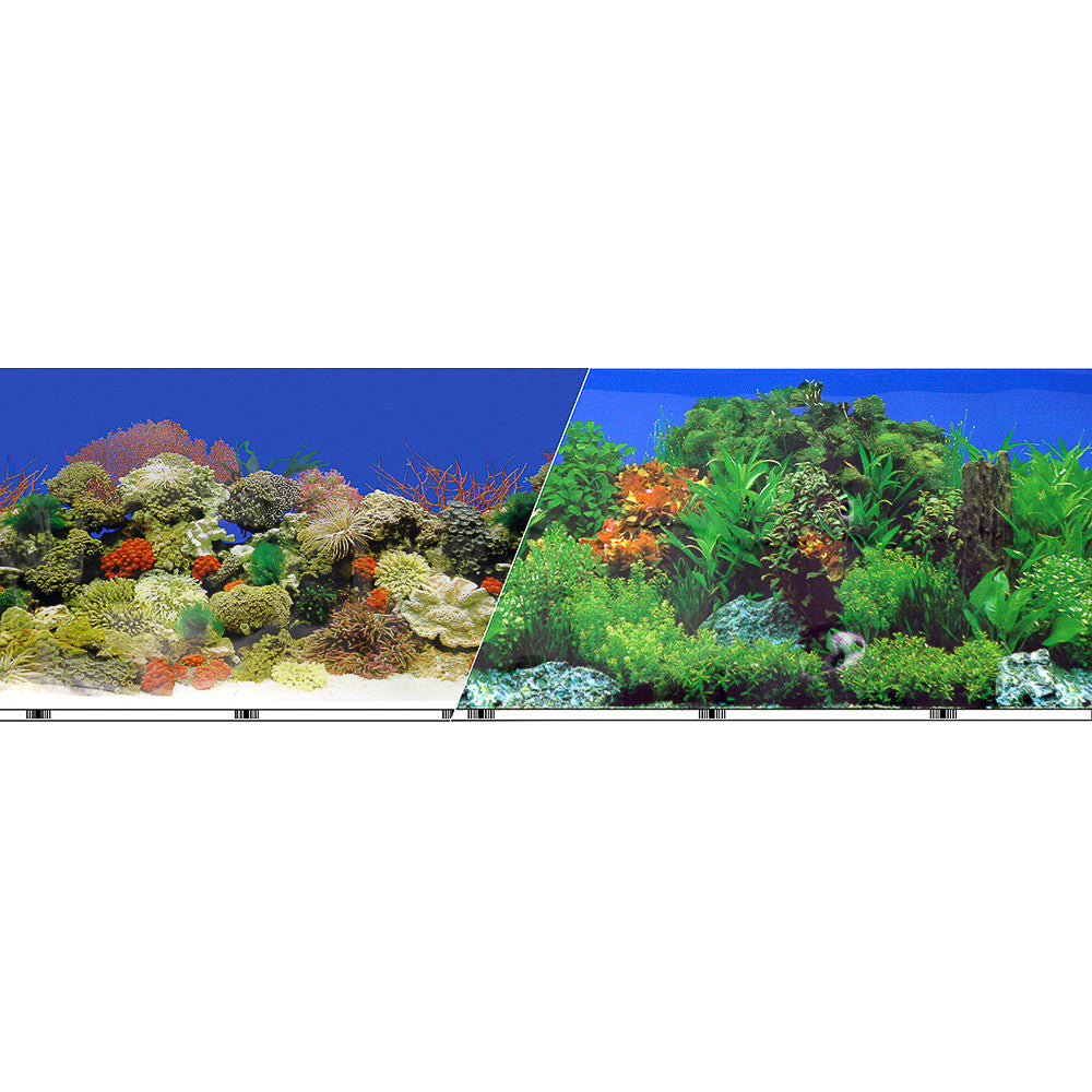Blue Ribbon Vibran-Sea Double Sided Background Freshwater Garden & Caribbean Coral Reef 24 Inches X 50 Feet