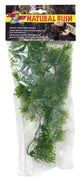 Zoo Med Natural Bush Borneo Star Plants Green 14 in, Small 097612180176