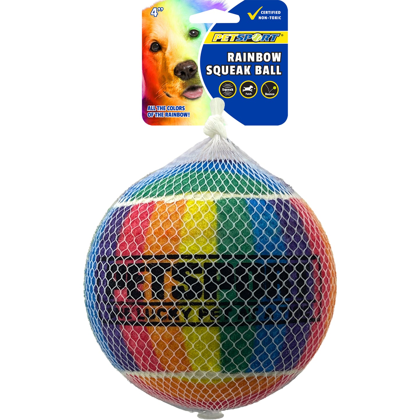 Petsport USA Rainbow Squeak Ball Dog Toy 4 in, 1 pk 713080703319
