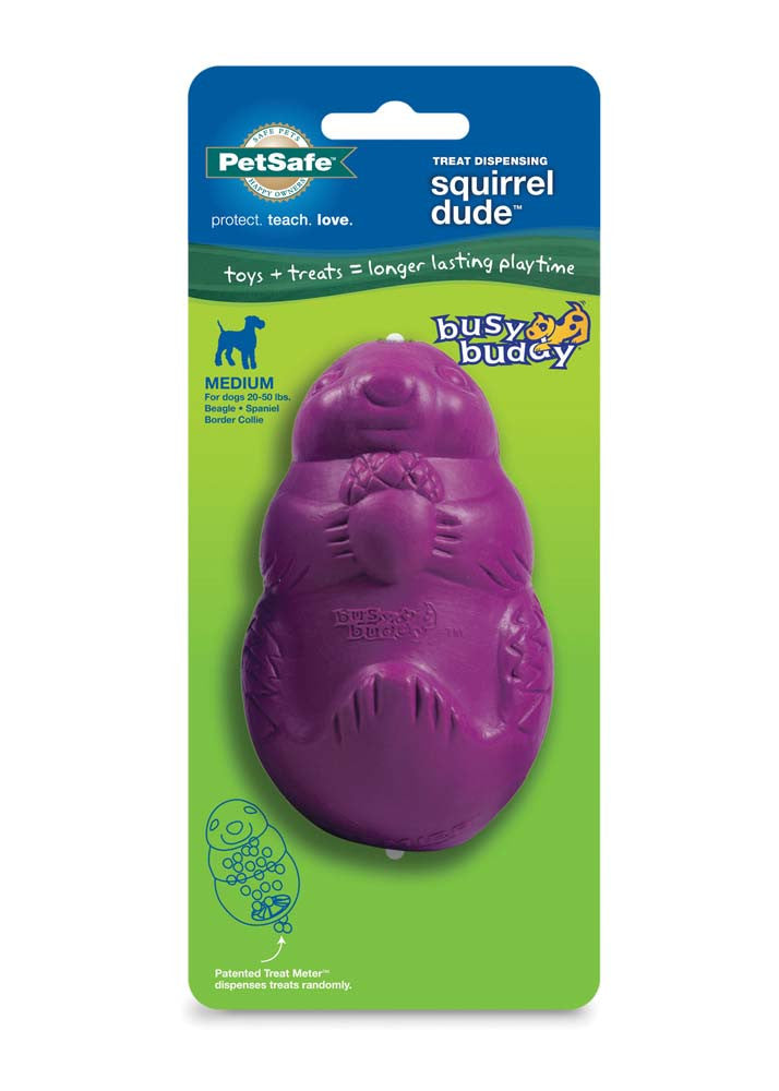 Busy Buddy Dog Toy Squirrel Dude Purple MD