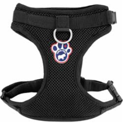 Canada Pooch Dog Everything Harness Black Large {L - x}
