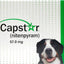 Capstar Green Oral Flea/Tick Tabs Dog/Cat 25lb 6ct 57.0mg {L + b}183044 - Dog