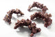 CaribSea LifeRock Nano Arch Purple Brown 8 in 4 Pack - Aquarium