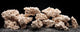 CaribSea South Seas Base Rock Tan 40 lb - Aquarium