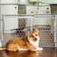 Carlson Plastic Expandable Gate {L - 1}916027 - Dog