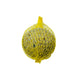 A & E Cages Garden & Fun Suet Bird Treat Balls 6 pk 644472150032