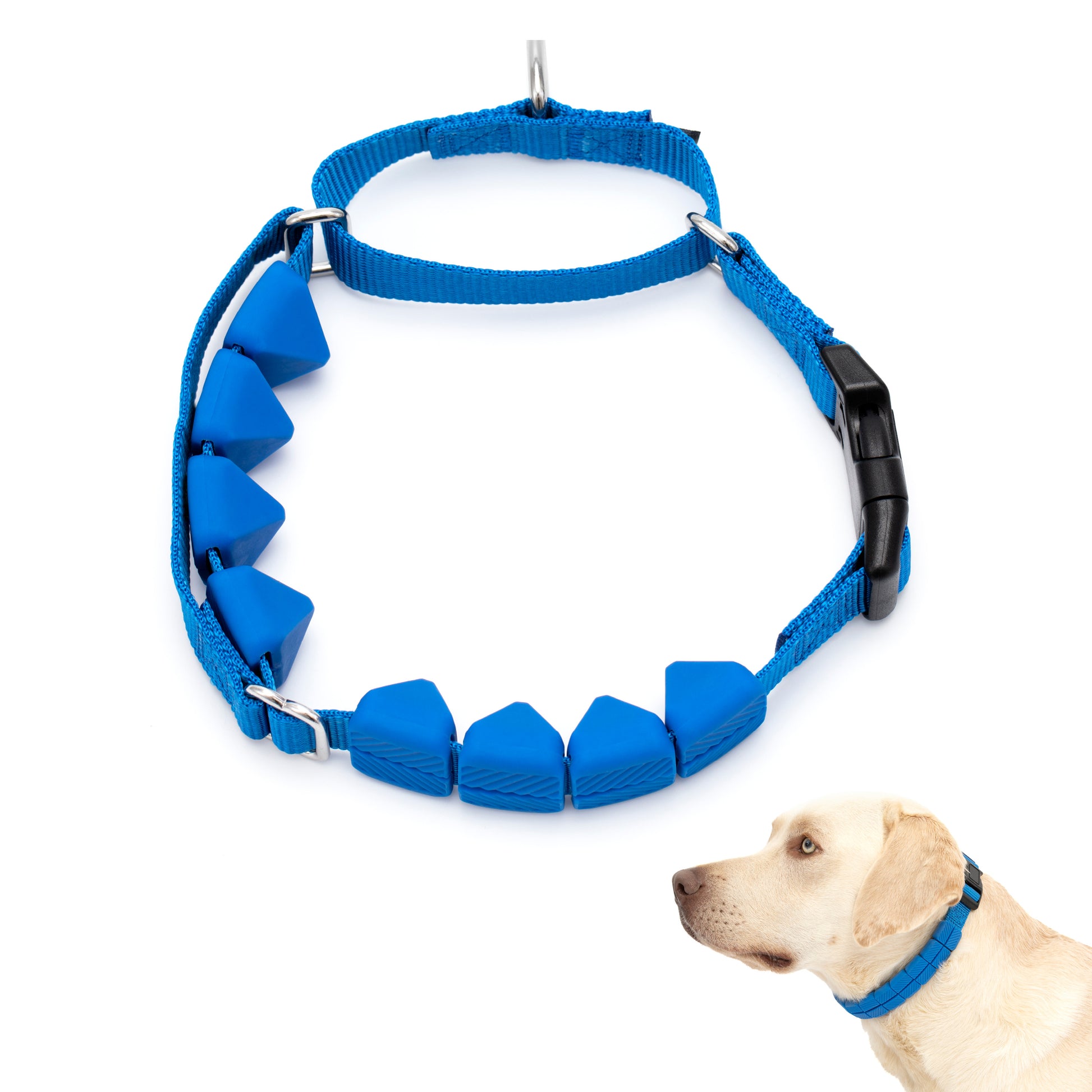 PetSafe Soft Point Training Collar 1in wide Royal Blue Large 729849175167
