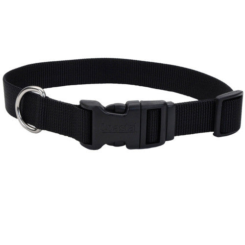 Coastal Adjustable Nylon Dog Collar with Plastic Buckle Black 3/4 in x 14 - 20