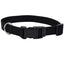 Coastal Adjustable Nylon Dog Collar with Plastic Buckle Black 3/4 in x 14 - 20