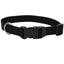 Coastal Adjustable Nylon Dog Collar with Plastic Buckle Black 3/4 in x 14-20 in
