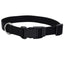 Coastal Adjustable Nylon Dog Collar with Plastic Buckle Black 3/8 in x 8 - 12