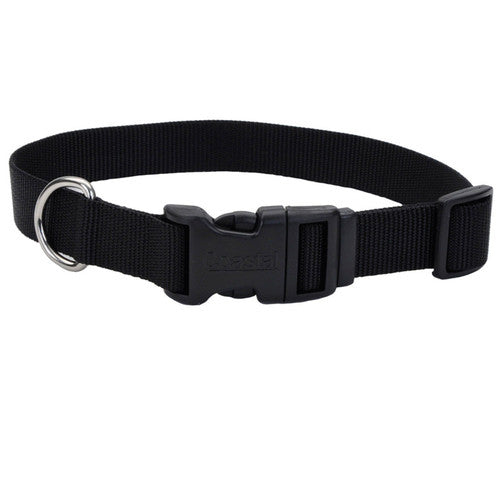 Coastal Adjustable Nylon Dog Collar with Plastic Buckle Black 3/8 in x 8 - 12