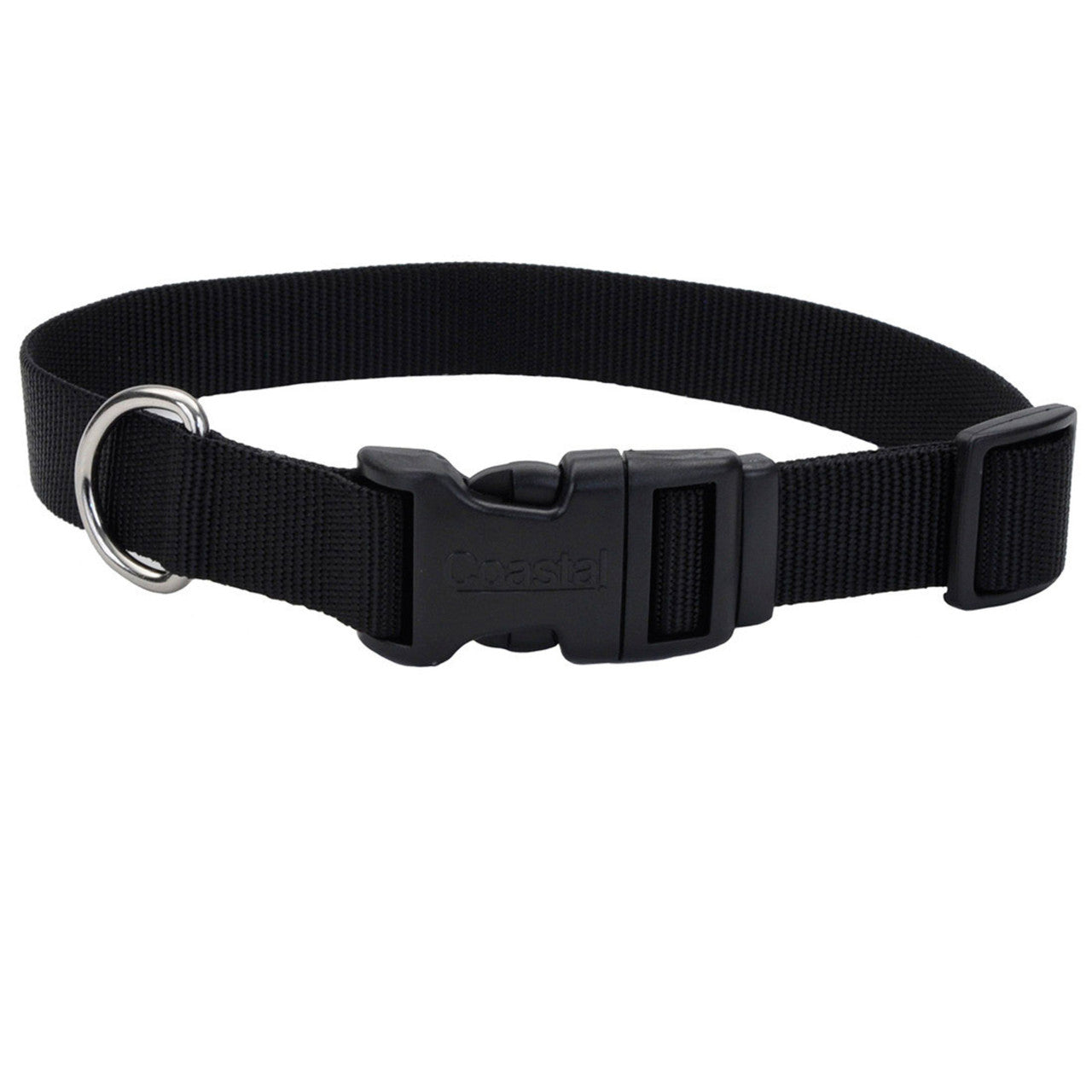 Coastal Adjustable Nylon Dog Collar with Plastic Buckle Black 3/8 in x 8-12 in