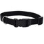 Coastal Adjustable Nylon Dog Collar with Plastic Buckle Black 5/8 in x 10 - 14