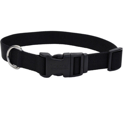 Coastal Adjustable Nylon Dog Collar with Plastic Buckle Black 5/8 in x 10 - 14