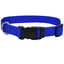 Coastal Adjustable Nylon Dog Collar with Plastic Buckle Blue 3/4 in x 14 - 20