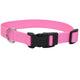 Coastal Adjustable Nylon Dog Collar with Plastic Buckle Bright Pink 3/4 in x 14 - 20