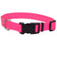 Coastal Adjustable Nylon Dog Collar with Plastic Buckle Neon Pink 3/4 in x 14 - 20