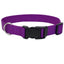 Coastal Adjustable Nylon Dog Collar with Plastic Buckle Purple 3/4 in x 14-20 in
