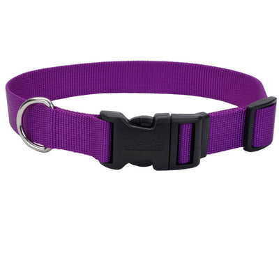 Coastal Adjustable Nylon Dog Collar with Plastic Buckle Purple 3/8 in x 8-12 in