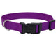 Coastal Adjustable Nylon Dog Collar with Plastic Buckle Purple 3/8 in x 8 - 12