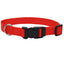 Coastal Adjustable Nylon Dog Collar with Plastic Buckle Red 3/8 in x 8 - 12