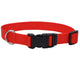 Coastal Adjustable Nylon Dog Collar with Plastic Buckle Red 3/8 in x 8 - 12