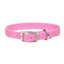 Coastal Double-Ply Nylon Collar Bright Pink 1x24in {L+2} 076484029066