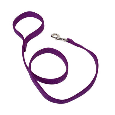 Coastal Double - Ply Nylon Dog Leash Purple 1 in x 4 ft