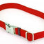 Coastal Pet ProduCats Titan Metal Buckle Adjustable Nylon Large Dog Collar Red 1" X 14"-20"-{L+2} 076484619915