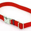 Coastal Pet ProduCats Titan Metal Buckle Adjustable Nylon Large Dog Collar Red 1’ X 14’ - 20’ - {L + 2}