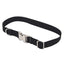 Coastal Pet ProduCats Titan Metal Buckle Adjustable Nylon Large Dog Collar Black 1" X 18-26"-{L+2} 076484619014