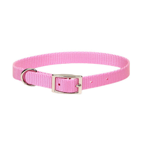 Coastal Single - Ply Nylon Collar Bright Pink 5/8 X 12in {L + 2} - Dog