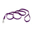 Coastal Single-Ply Nylon Dog Leash Purple 3/4 in x 4 ft
